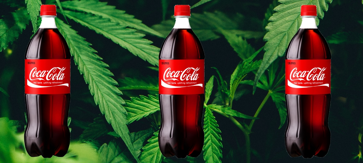 Coca-Cola intéressé par les boissons au cannabis Des bouteilles de Coca-Cola devant des feuilles de cannabis