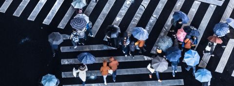 Pour trouver du travail, il ne suffit pas de traverser la rue Une foule de gens traversant sur des passages piéton, avec des parapluies