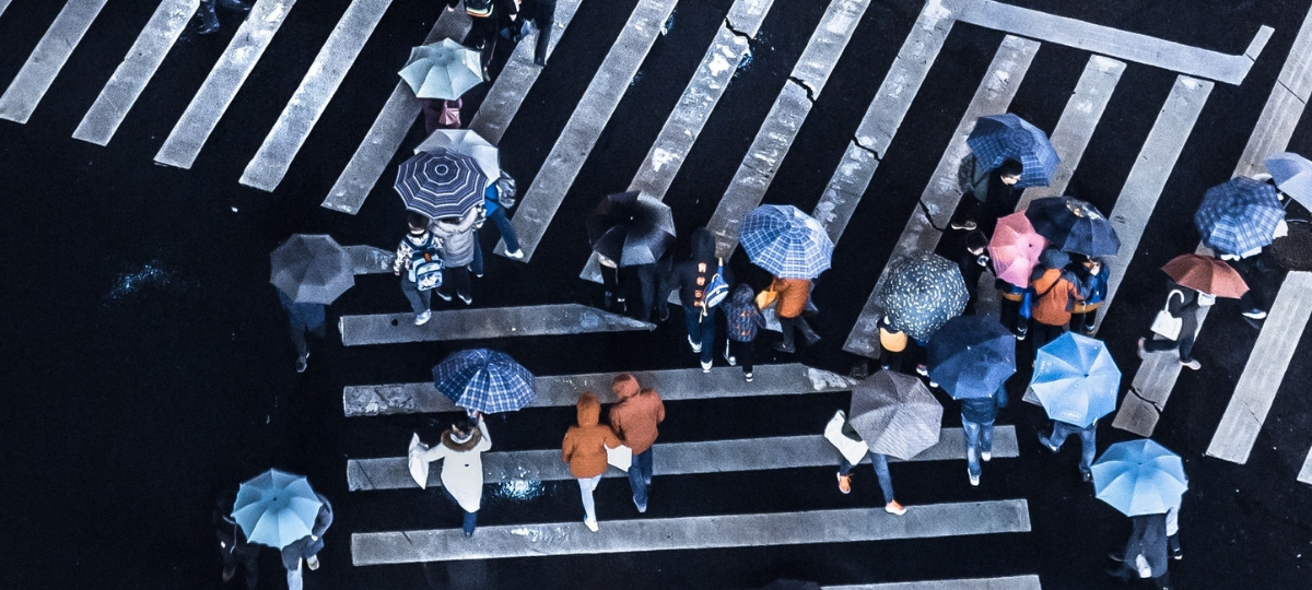 Pour trouver du travail, il ne suffit pas de traverser la rue Une foule de gens traversant sur des passages piéton, avec des parapluies