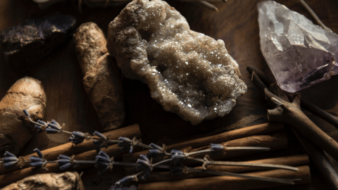 des plantes et des pierres dans un bol en bois
