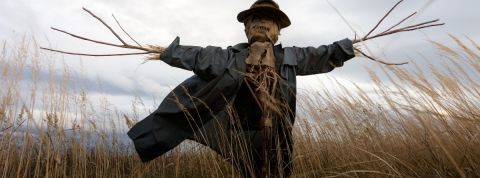 Monsanto utilise des faux comptes d'agriculteurs pour faire sa promo Un épouvantail dans un champ de blé