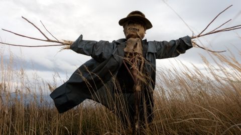 Monsanto utilise des faux comptes d'agriculteurs pour faire sa promo Un épouvantail dans un champ de blé