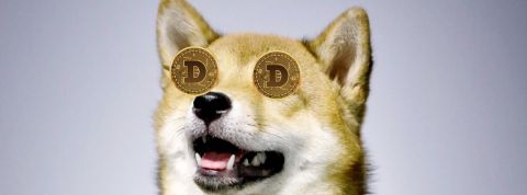 To the moon, NFT, shitcoin... Parlez-vous crypto ? Un Shiba-Inu (l'emblème du Dogecoin) avec des Dogecoin à la place des yeux