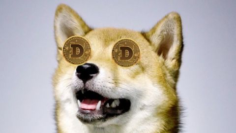Un Shiba-Inu (l'emblème du Dogecoin) avec des Dogecoin à la place des yeux