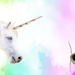 Une licorne et un cafard