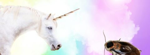 licorne contre cafard Une licorne et un cafard