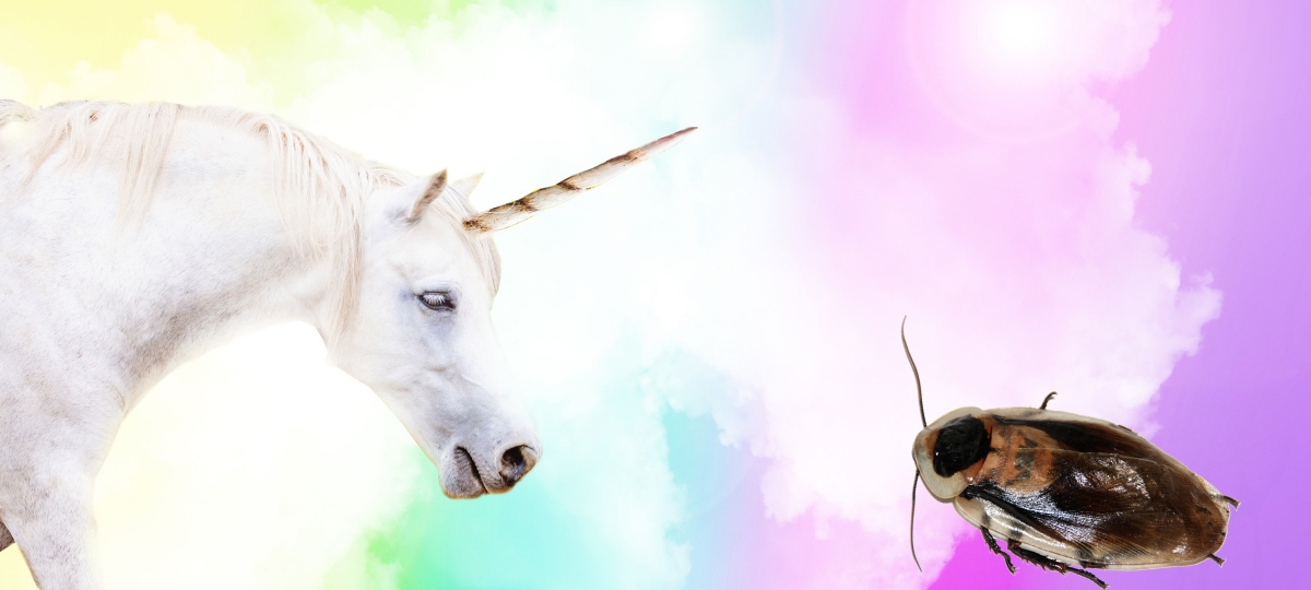 licorne contre cafard Une licorne et un cafard