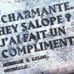 Insultes