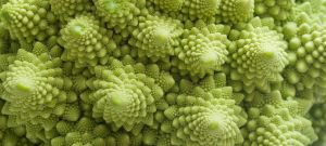 Gros plan d'un chou romanesco