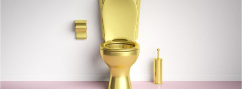 Flush est un magazine entièrement dédié aux toilettes Des toilettes en or sur fond blanc et rose
