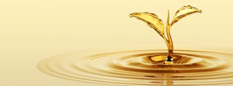 huile friture energie huile en forme de pousse