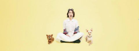 Humoristes influenceurs youtube Natoo et des chiens