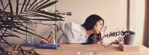 ani liu ani liu embrasse une plante