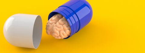 cerveau rythme innovation pilule cerveau