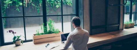 Les entreprises peuvent être engagées et reponsables Un homme de dos en train de travailler sur un ordinateur avec des plantes