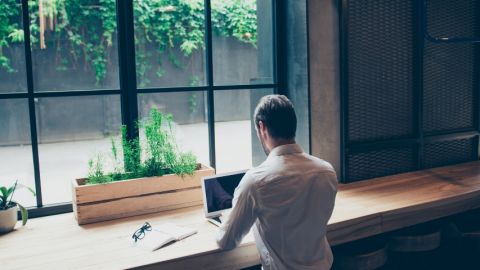 Un homme de dos en train de travailler sur un ordinateur avec des plantes