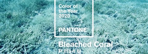 Jack Huei color of the year Bleached Coral