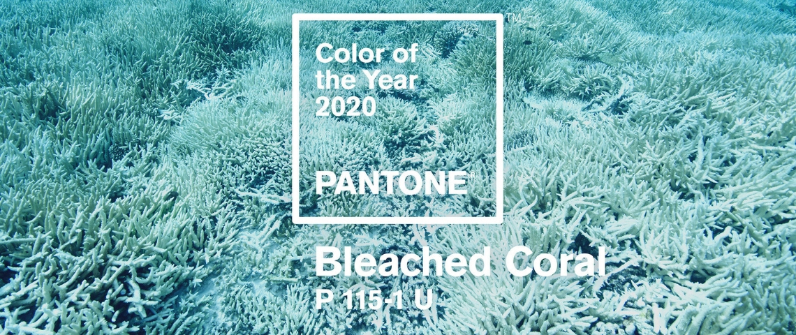 Jack Huei color of the year Bleached Coral