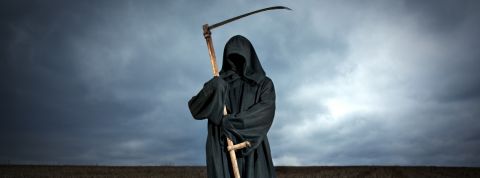 Accepter la mort, c'est possible sur le web la grande faucheuse dans un champ