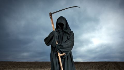 la grande faucheuse dans un champ