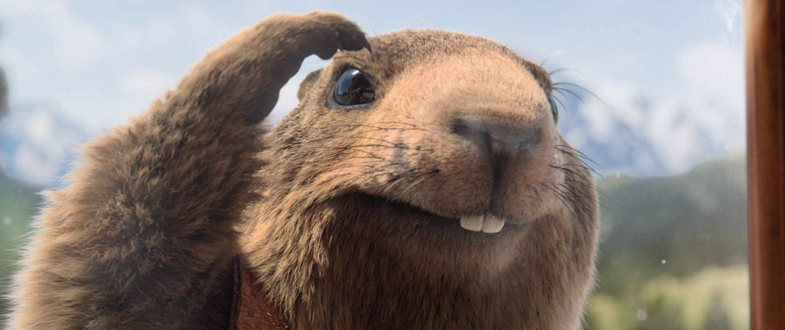 La marmotte Milka est de retour ! La marmotte de la publicité Milka qui regarde par la fenêtre