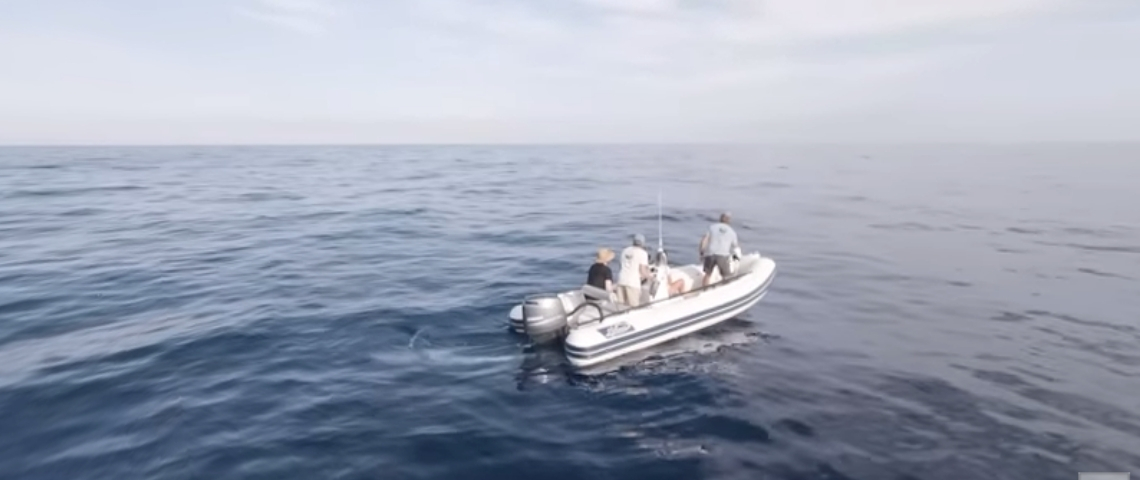 Les baleines du Pelagos en réalité virtuelle Un bateau sur la mer