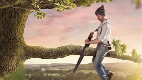 un homme assis sur une branche qu'il est en train de scier