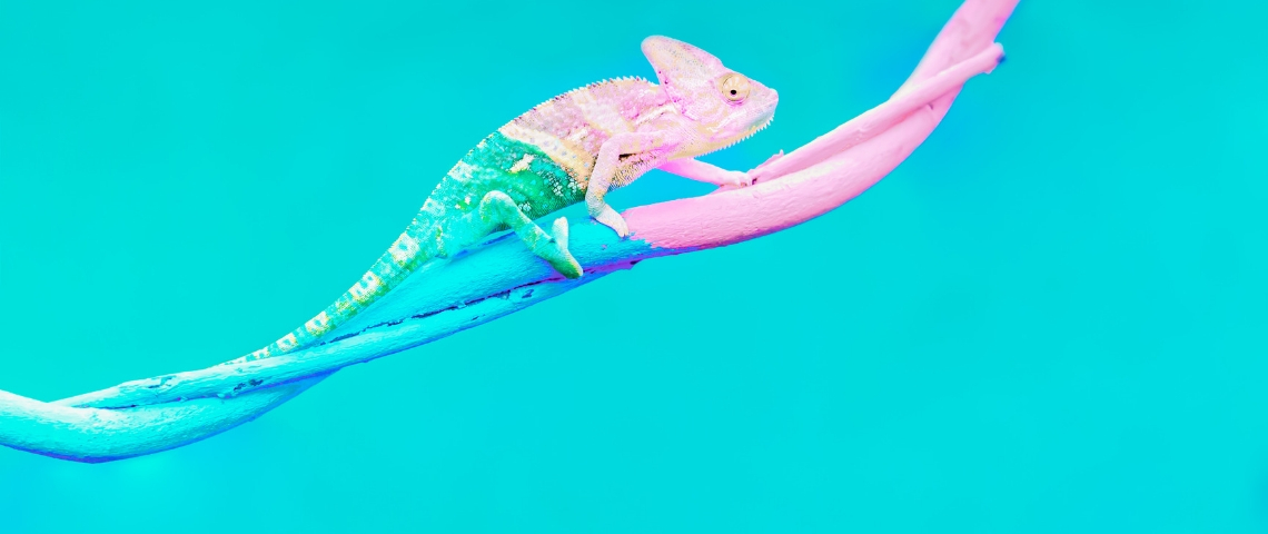 Comment les médias se transforment-ils ? Un caméléon passant du bleu au rose