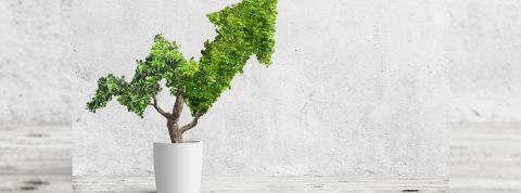 Quels sont les chiffres RSE à connaître ? Un arbre dont les feuilles forment une flèche ascendante dans un petit pot