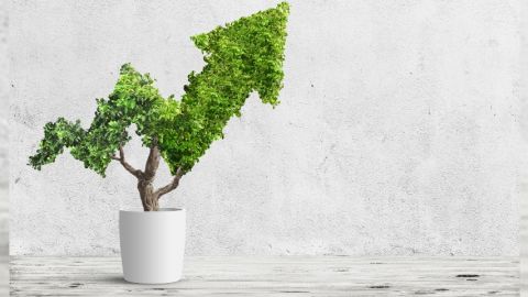 Quels sont les chiffres RSE à connaître ?  Un arbre dont les feuilles forment une flèche ascendante dans un petit pot