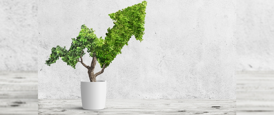 Étude stratégie RSE : quels sont les chiffres à connaître