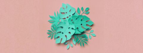 La RSE est aussi un enjeu pour les dircoms feuilles vertes sur fond rose