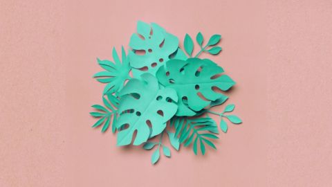 La RSE est aussi un enjeu pour les dircoms feuilles vertes sur fond rose