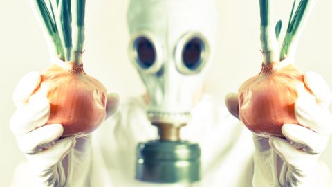 Une personne portant un masque à gaz tenant des oignons