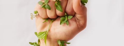 Top 5 des métiers engagés qui recrutent Le poing d'une femme, serré, entouré de feuilles