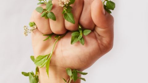 Top 5 des métiers engagés qui recrutent Le poing d'une femme, serré, entouré de feuilles