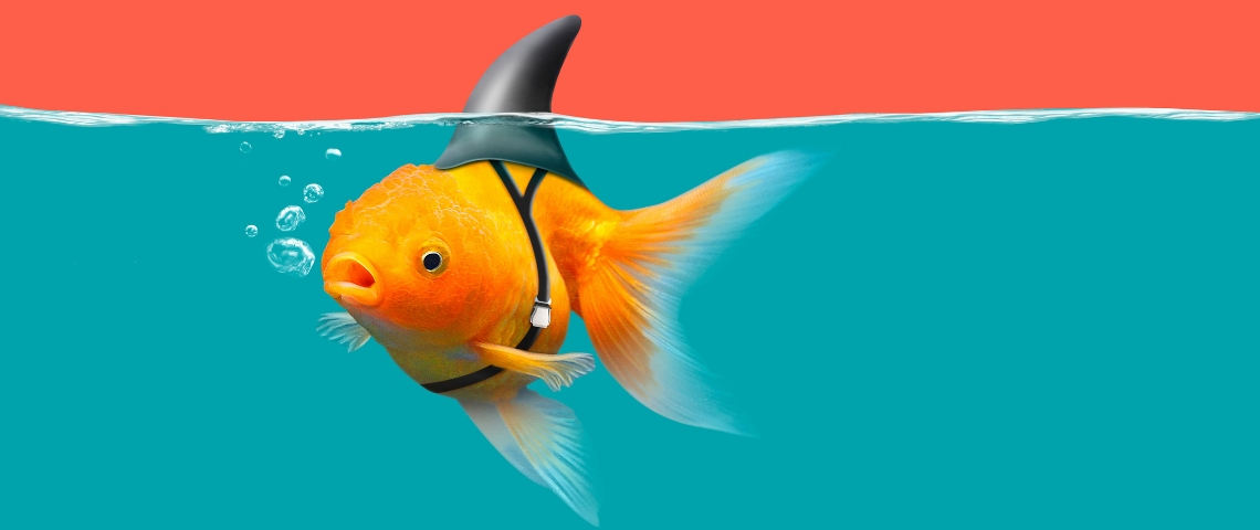 Deep fake, GAN... Fascinant (ou effrayant) découvrez la tech qui fait passer du faux pour du vrai un poisson rouge déguisé en requin