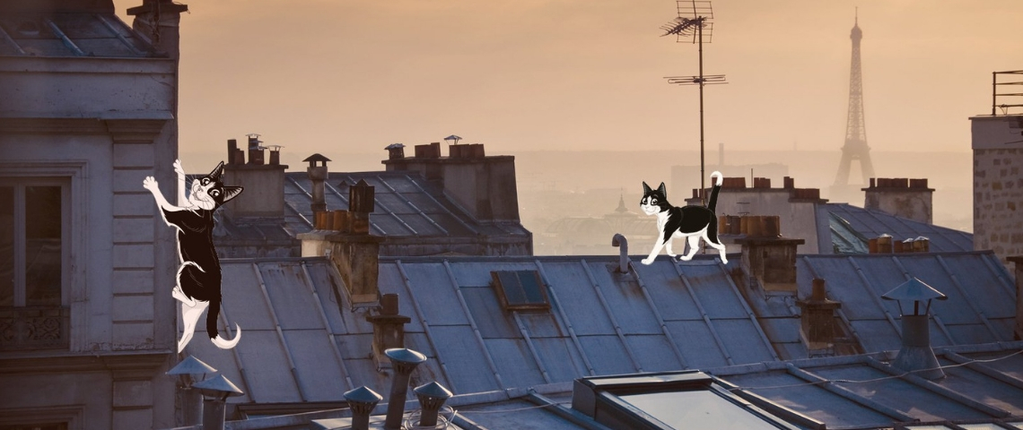 Purina fête la Saint-Felix Illustration de Paris avec des chat noirs
