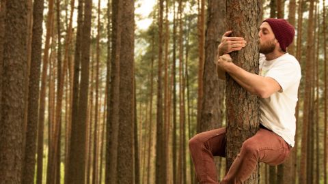 Ecosophie : et si la nature nous apprenait à innover ? 