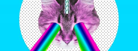 « Collages cosmiques » : les meilleurs comptes à suivre sur Instagram collage d'un chat licorne avec des yeux arc en ciel