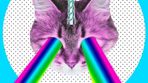 collage d'un chat licorne avec des yeux arc en ciel