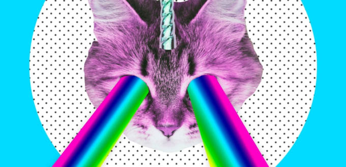 collage d'un chat licorne avec des yeux arc en ciel