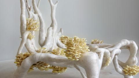 une chaise faite à partir de champignons