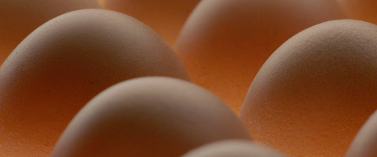 Le Egg McMuffin de McDonald's en ASMR Des oeufs en gros plan