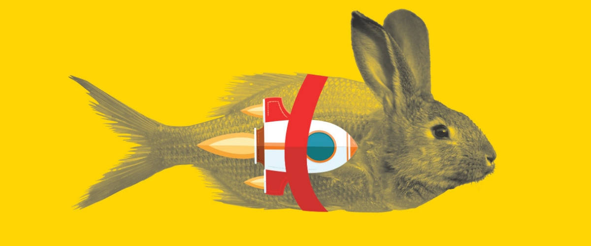 La plume de Swane, le magazine qui transforme les enfants en journalistes Un dessin d'un animal mi-poisson, mi-lapin