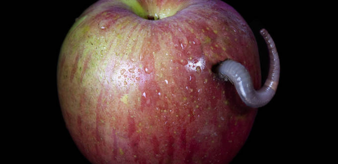 Google et Facebook sont les pommes pourries du web, mais on ne peut pas les jeter