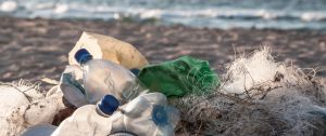 des bouteille plastiques sur une plage
