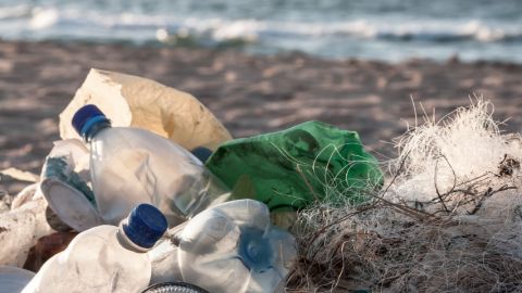 des bouteille plastiques sur une plage