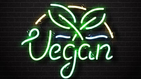 Quels sont les fonds d'investissement véganes ?  Un néon vert fluo avec le mot  - vegan -