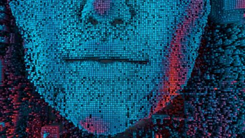 Embrouillez les GAFA Visage de femmes pixelisé